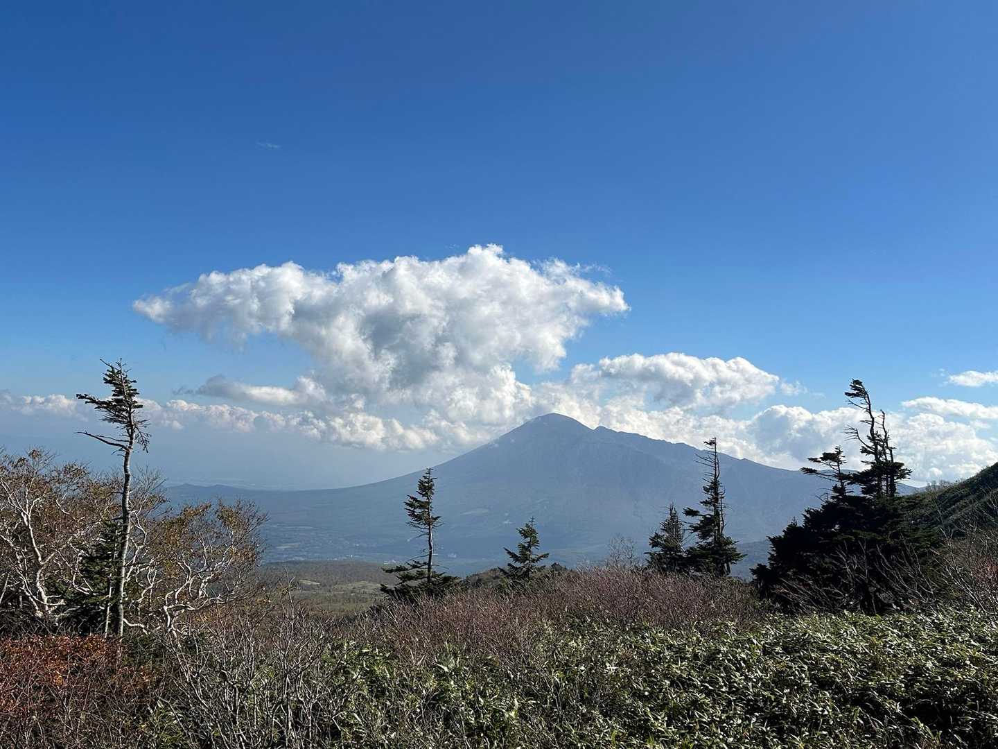 雲が取れて岩手山がくっきり😍