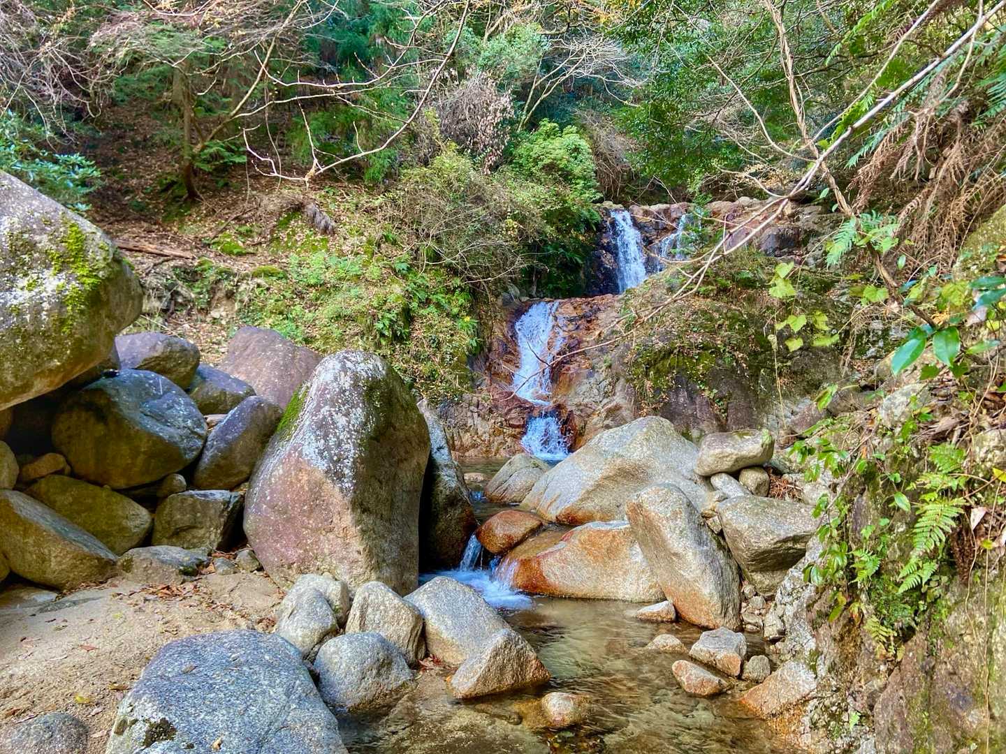 尾高観音-尾高山 周回コースの写真
