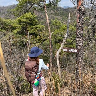 長くてきつくなってきたぁ。へこたれそうな時、、、
