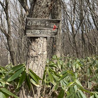 さぁ三角点へ行きましょう