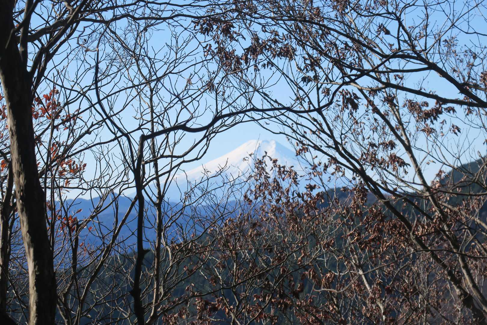 鋸山山頂から富士山が見えるとは知らなかった。