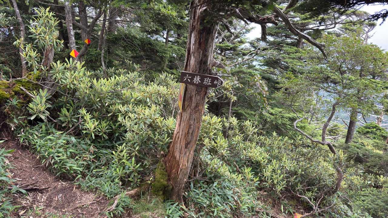 皇海山（鋸山周回）、日帰り最難関 の写真 32