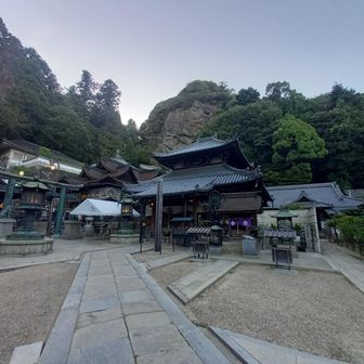 途中で猫ちゃん😸と出会いました。宝山寺に到着😉ご覧頂きありがとうございました‼️