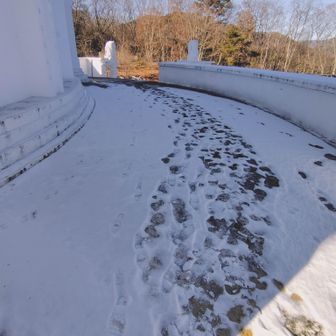 ここは凍った上に積雪…