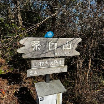 茶臼山山頂まで戻りコーヒータイムです。