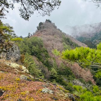 藍ノ岩手前で帰望峰を撮影
