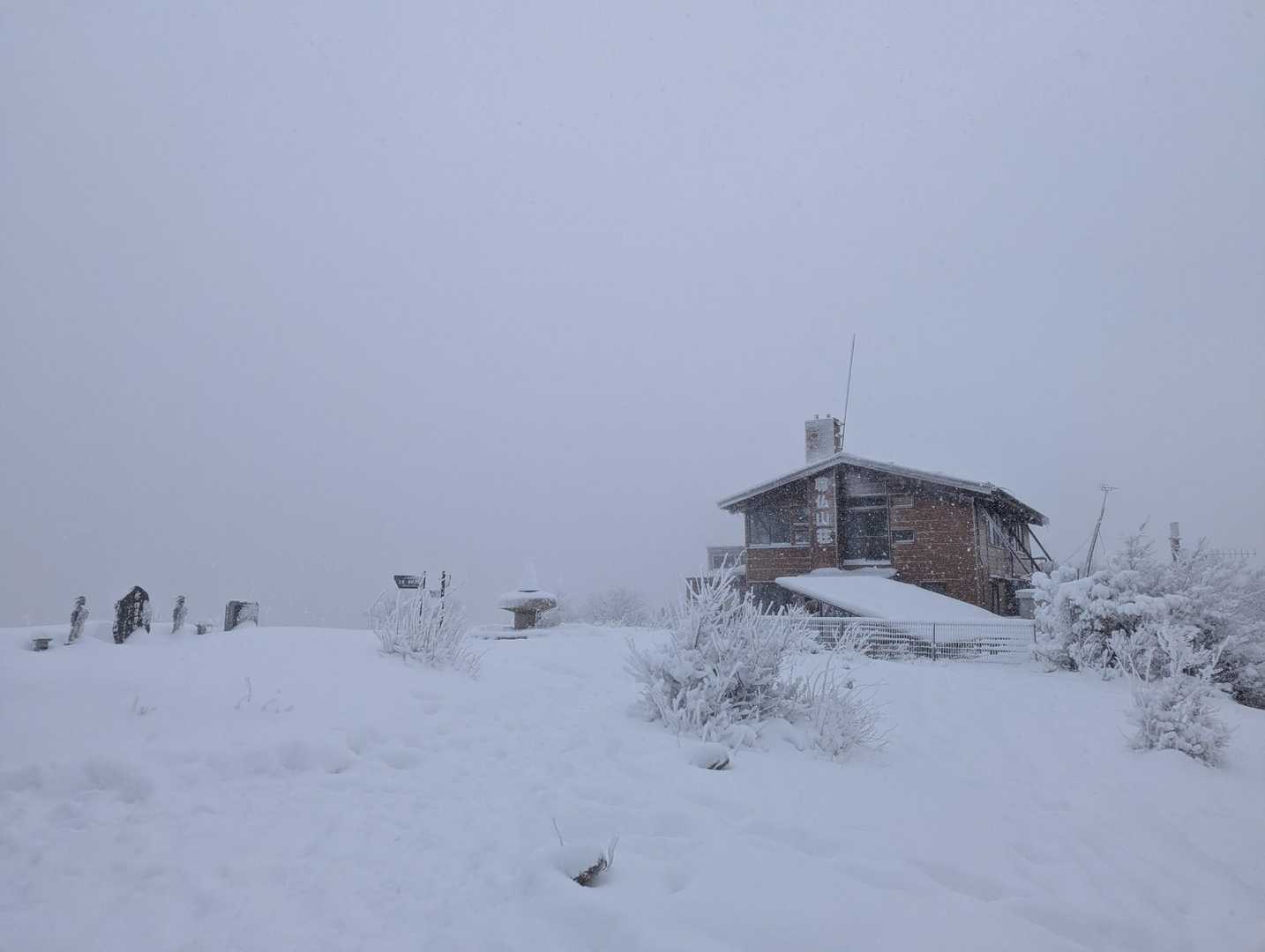 新雪の塔ノ岳 / j-saitohさんの塔ノ岳・丹沢山・蛭ヶ岳の活動データ | YAMAP / ヤマップ