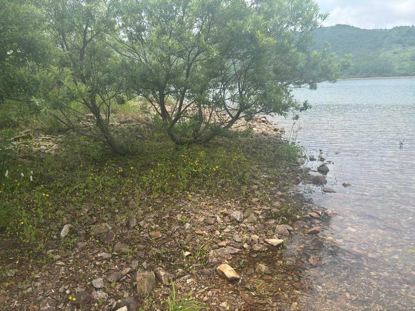 え、本当にここ行く？🙄
って不安になりながら水際を進む