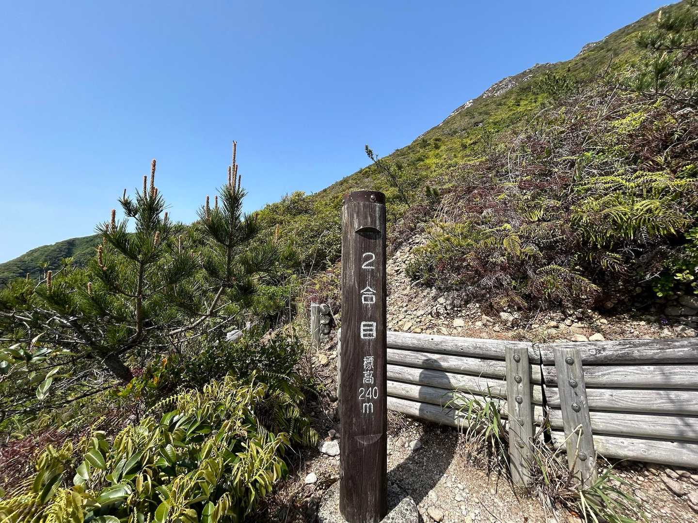 黒島登山口-天上山-千代池 往復コースの写真