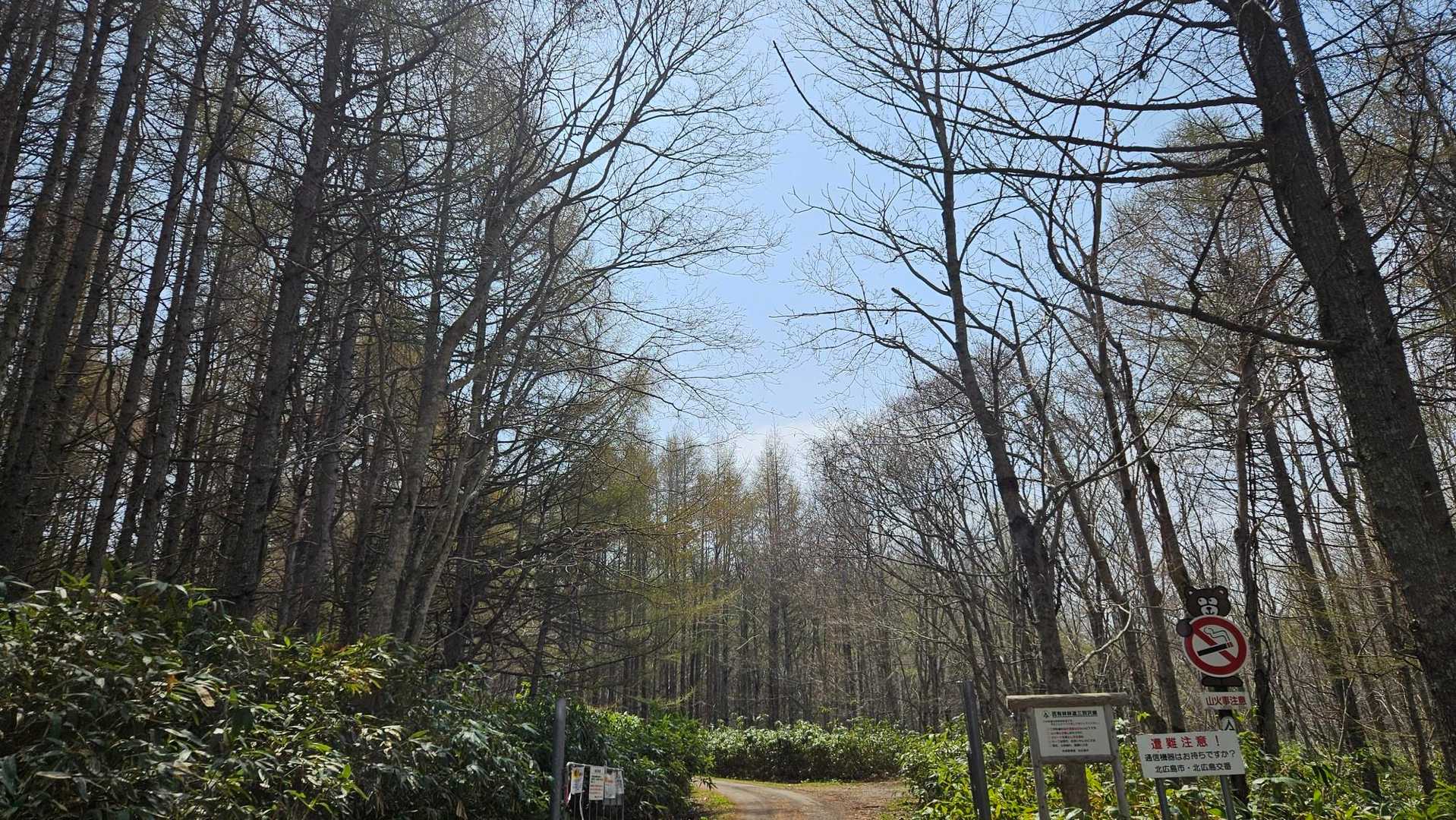 曇り予報だったのにいい天気☀️