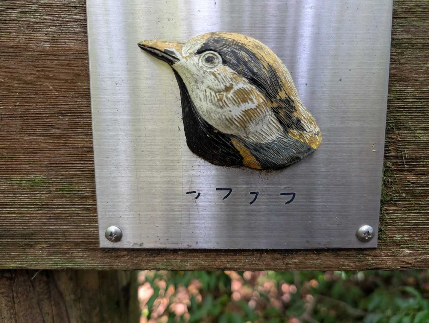 フフフフ？