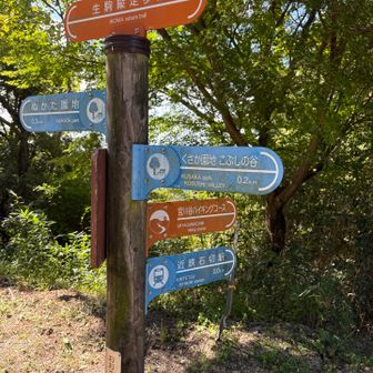 分岐
生駒縦走歩道の表示も👀
信貴山は縦走路の先にあるのかな？
こんど登ってみたい🐯