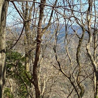 山頂はほとんど眺めはありませんが、少しだけ。