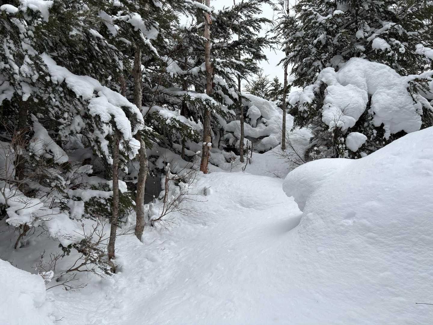徐々に雪も増えてきました