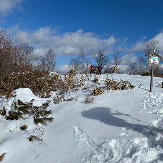 下山途中、馬の背で