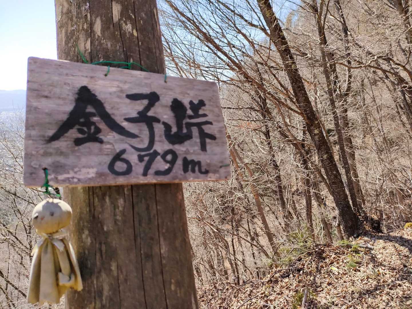 登山口からすぐ