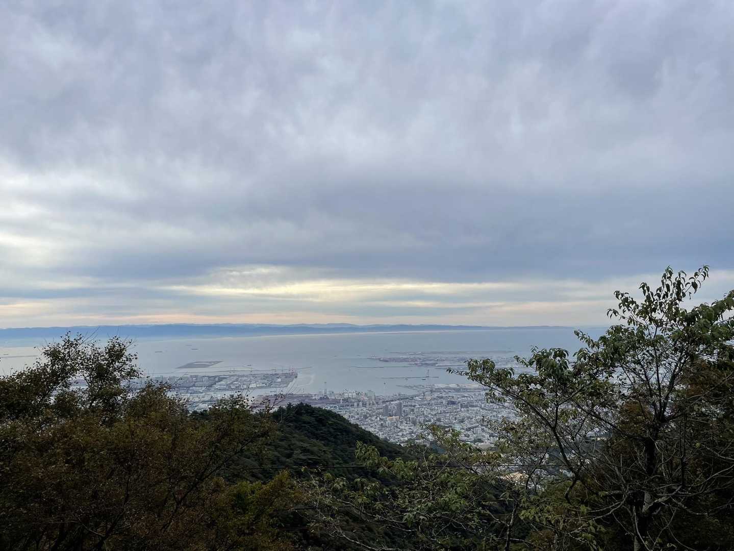 油コブシ-六甲山上駅の写真