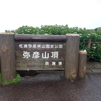 至るところに、山名表示あり。