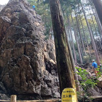 始めてきたルートだったので驚きました