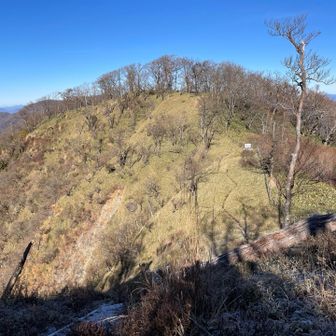 次のピークは、大笄という所。あれですね♪