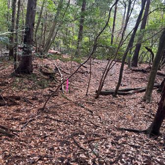 ピンクリボンの方へ