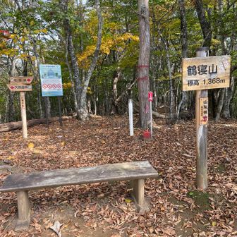 何とか鶴寝山の山頂へ
先程の唸り声は何だったんだろうか、、、
とにかく何事もなくて良かった😰