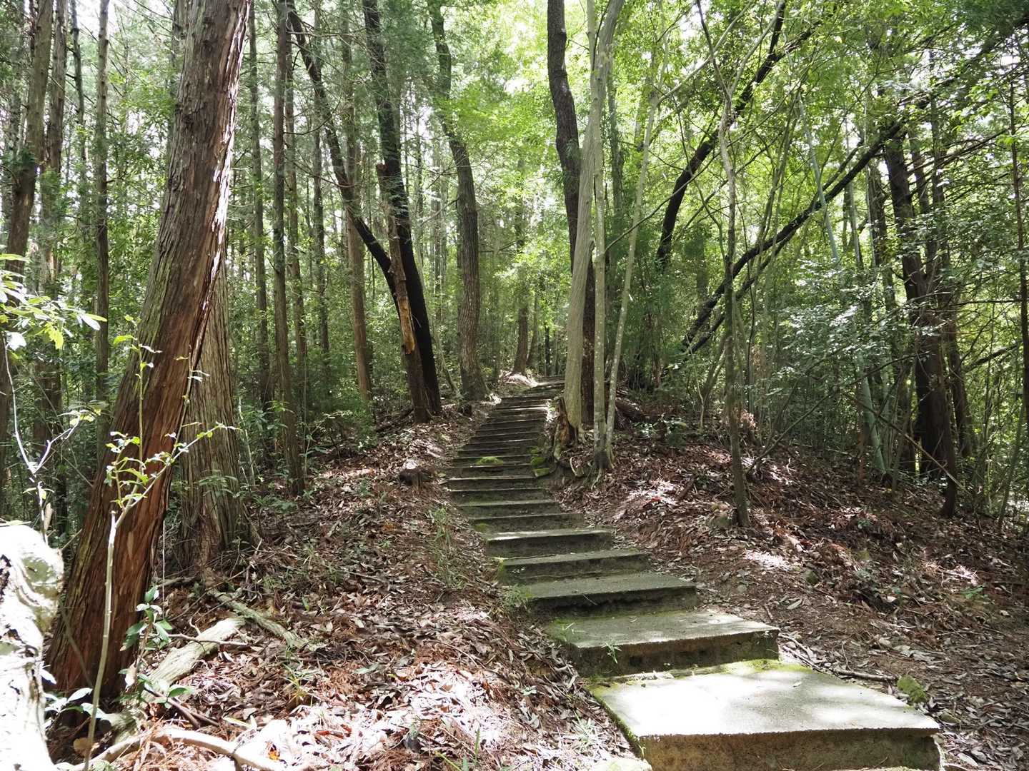 最初から階段です