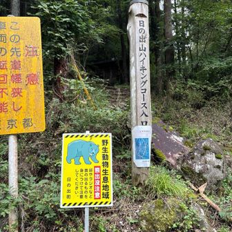 クマ注意！