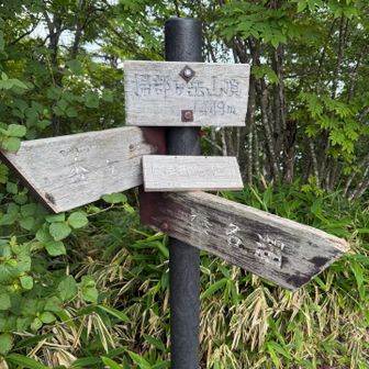 何人もすれ違い、熊情報は無し
いつでも戻れるように気をつけながら進んだら
山頂に着きました
