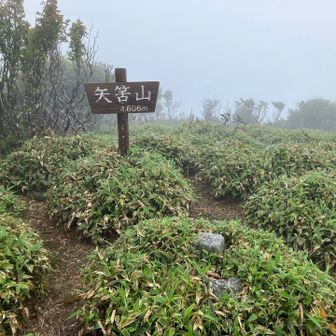 土佐矢筈山
山頂表示！