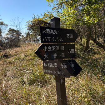 いったん湯の沢峠に下り、その先の大蔵高丸を目指します