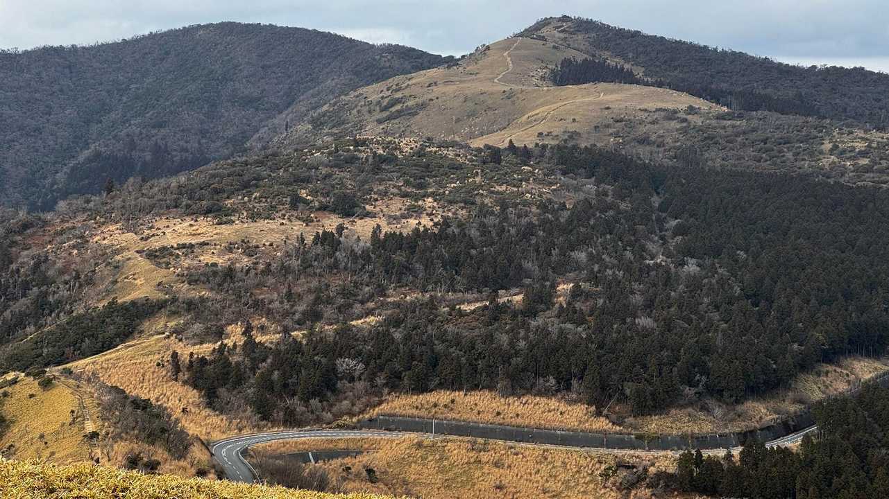 伊豆山陵線トレイル（三蓋山・水呑頭・猫越岳・後藤山・魂の山・棚場山・伽藍山・古稀山・達磨山・小達磨山） の写真 49