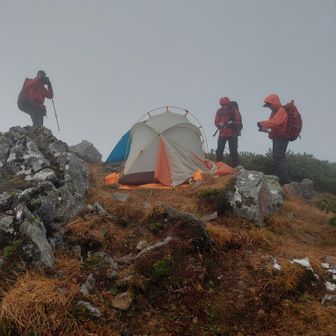 フライシートが朝の強風で、はがれたテント