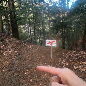 戻って黒米山に向かう