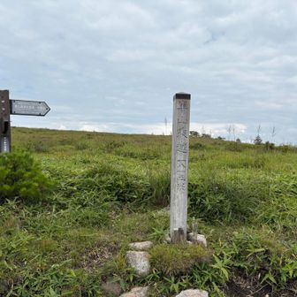 1800m けっこう高い！