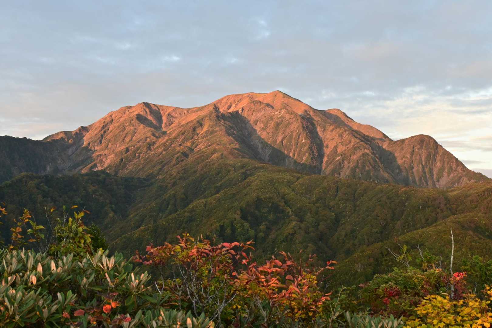 越後駒ヶ岳 往復 | 滝雲が湧く枝折峠から、花や眺望を楽しむ稜線歩きの写真