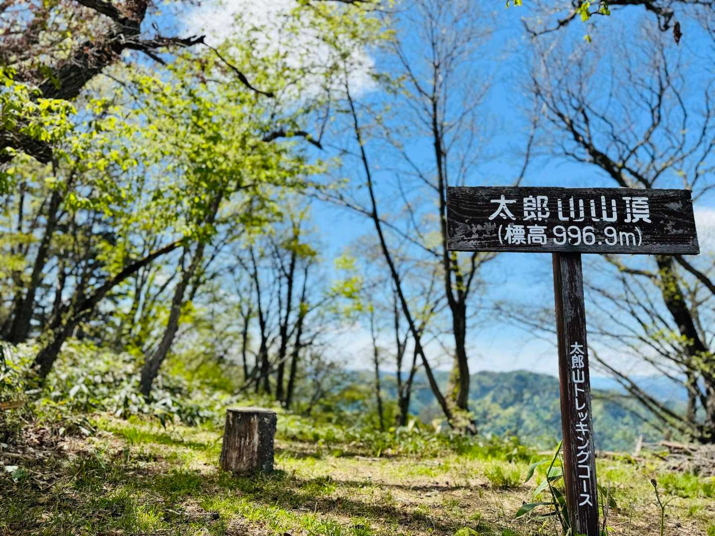 城ノ峰-若穂太郎山 往復コースの写真