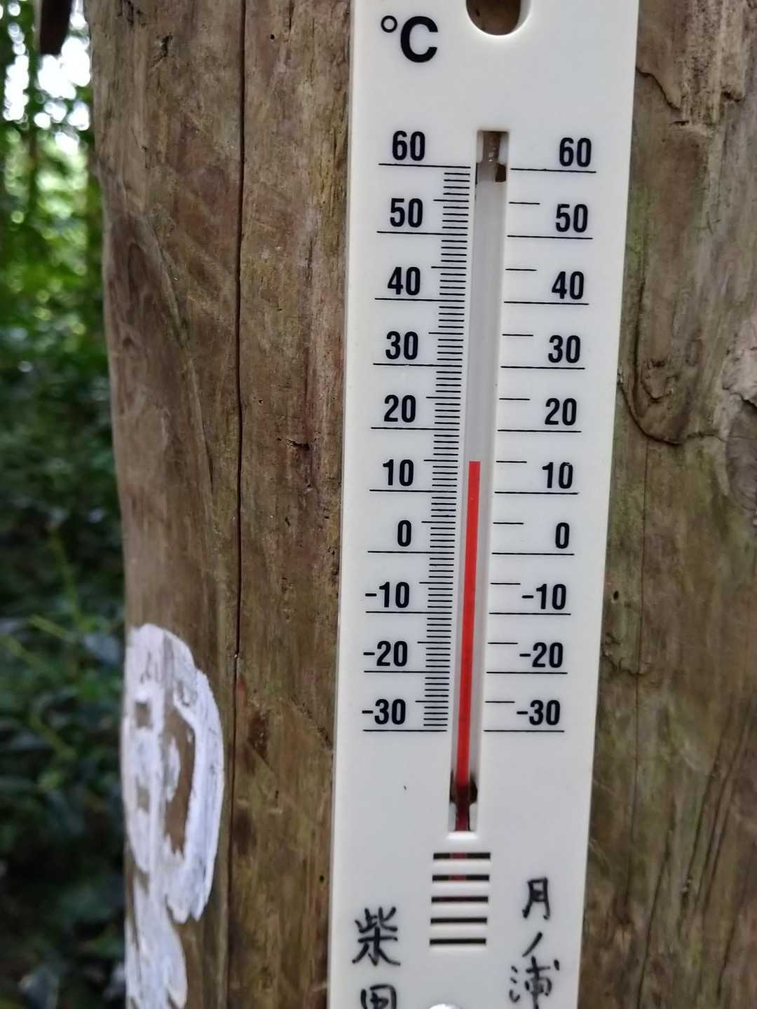 気温は15℃、風が心地良く涼しい✨