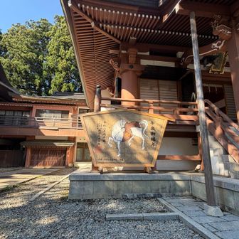 出羽三山神社（三神合祭殿）参拝後、午歳御縁年午の日限定の午の日御守を授かる🐎

次の午歳にも訪れたい