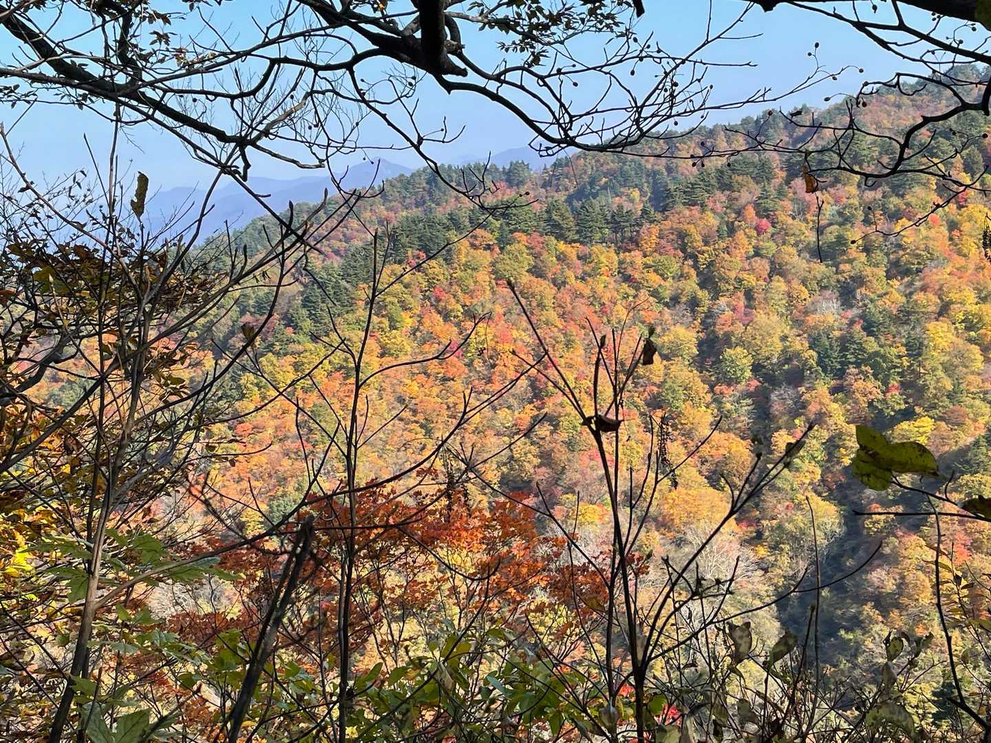 向かいの尾根の紅葉