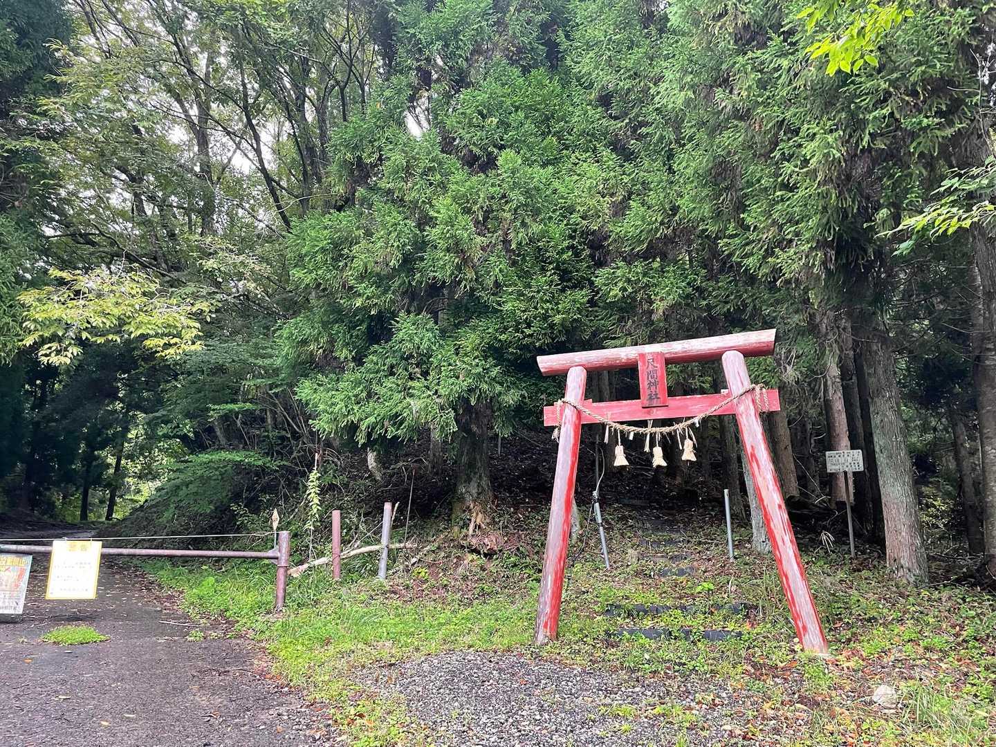 尺間神社⛩️

ここに着くまでもお花あり