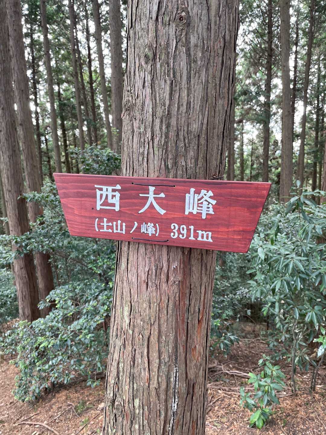 ここまで結構ずっと登ってる感じ　今日は気温も高くて汗だく💦
こんな日にタオル１枚とは、、、キビシー