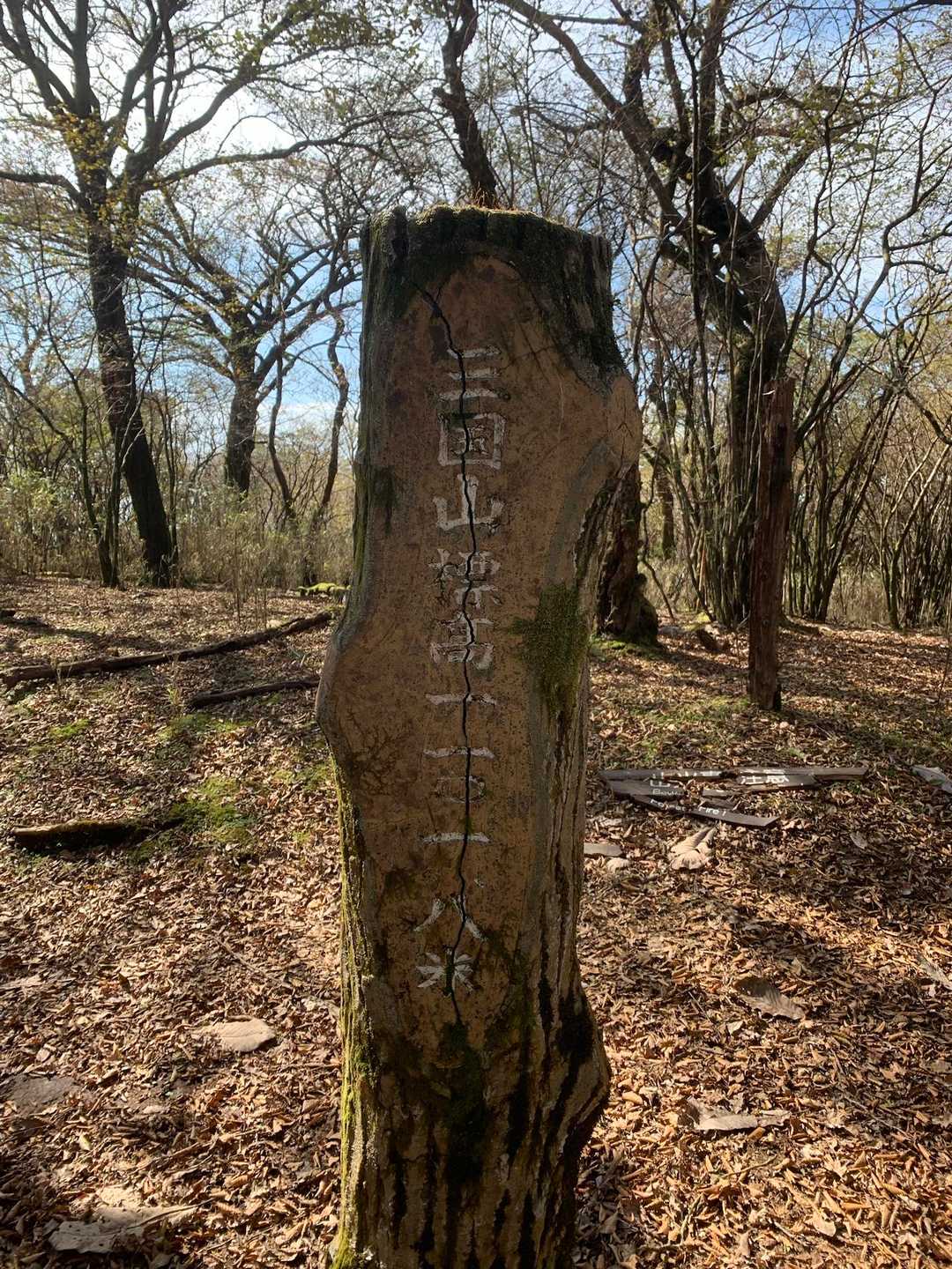 三国山山頂