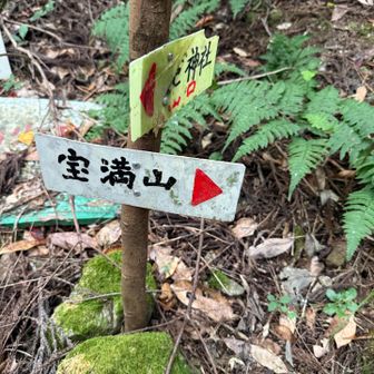 道迷いないよう
確認👍
