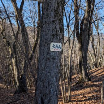 ってわけで大寺山に到着!!