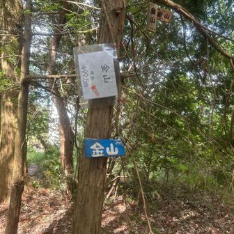 金山山頂
岡山市最高峰です⛰️