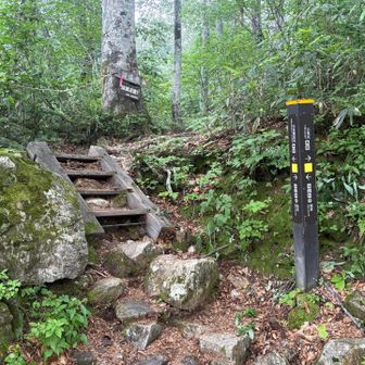 猿倉登山口へ到着

予約バスは間に合いそうですが。。。

林道と近道下山道がもう少し
