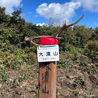 ここに飾っておきます