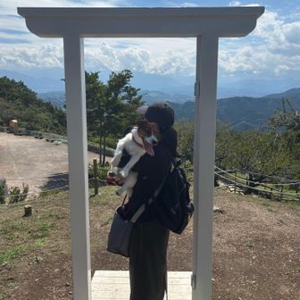 これも仕方がないから付き合ってあげた