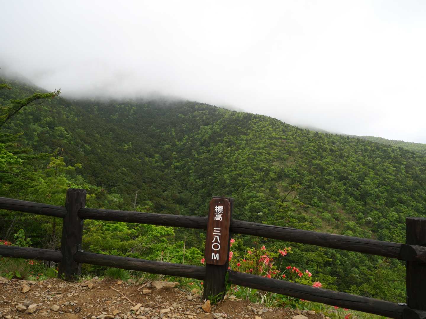 山頂は雲の中・・